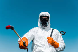 Best Residential Pest Control  in Palm Shores, FL